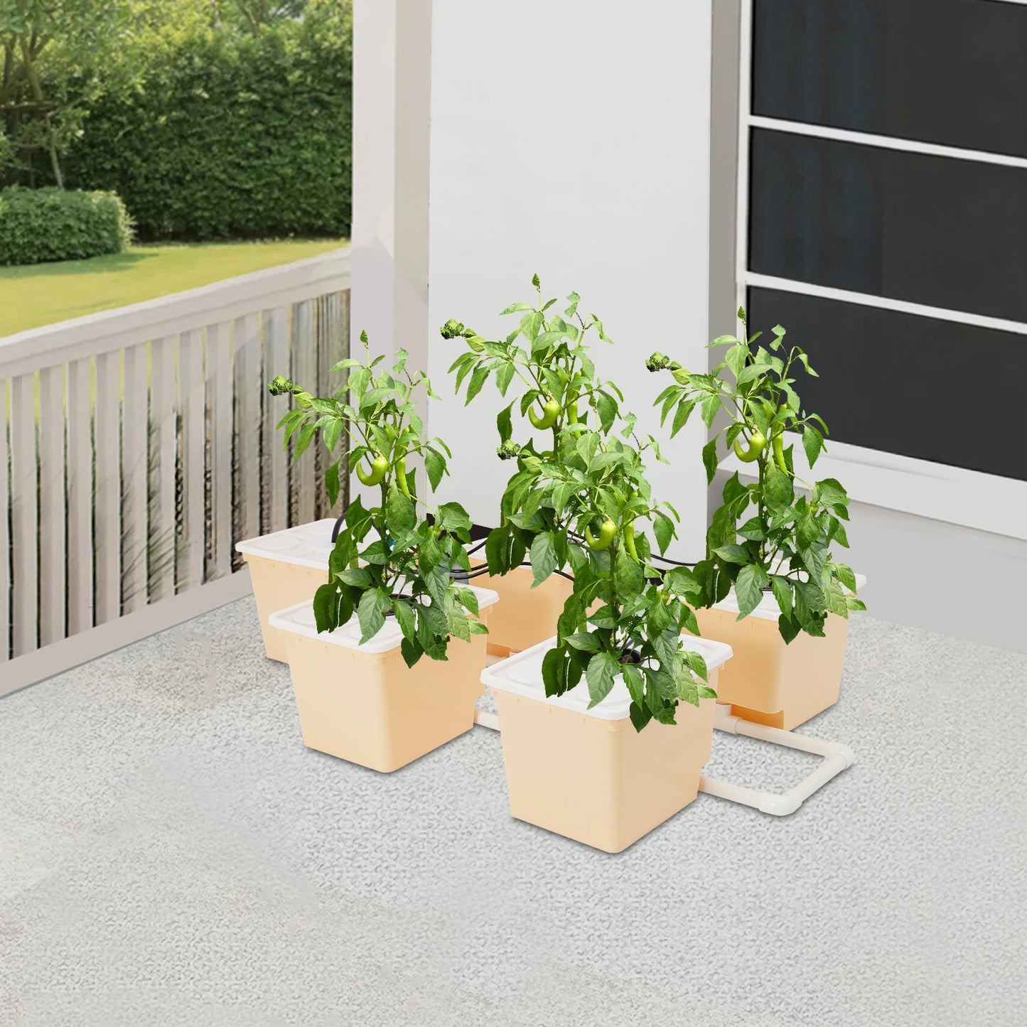 Hydroponics Deep Water Culture DWC Hydroponic System Buckets Drip Growing System