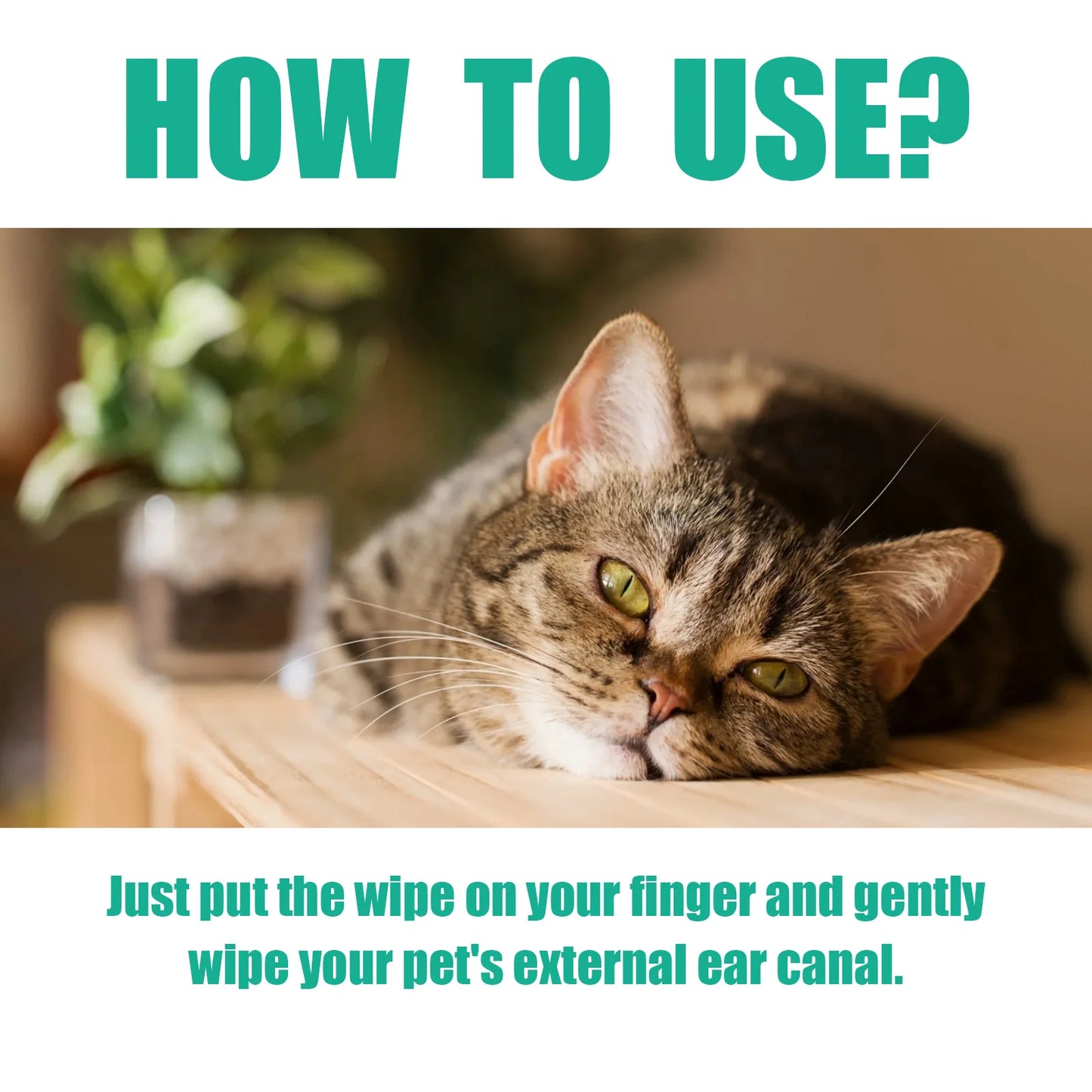 50PCS Pet Multipurpose Cleaner Finger Wipes Gentle Remove Ear Mite Cleaning Paw Stains Remove Eyes Dirts Deodorizing Pet Cleaner