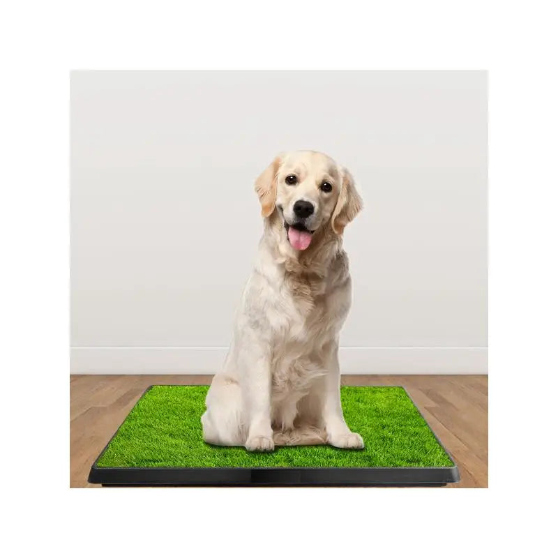 Indoor Puppy Training Pad & Potty Grass Mat with Removable Waste Tray, Easy Clean, Artificial Turf, 25"x20