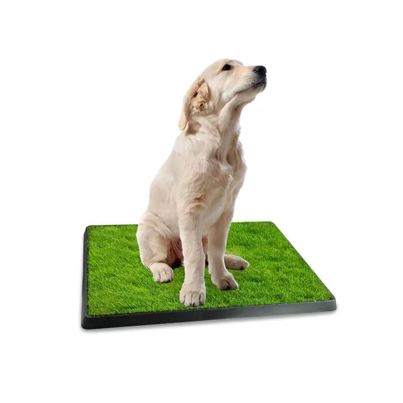 Indoor Puppy Training Pad & Potty Grass Mat with Removable Waste Tray, Easy Clean, Artificial Turf, 25"x20