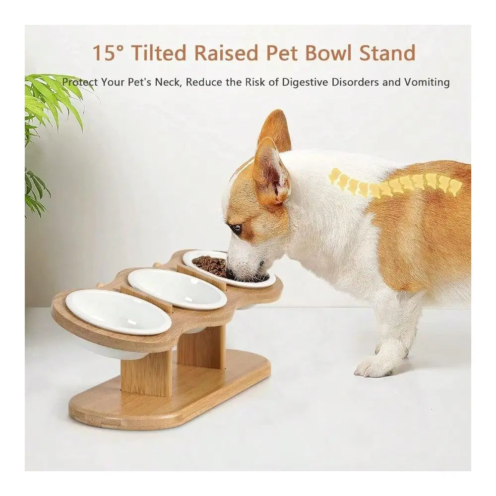 Dog Bowl Dog SuppliesCat Bowls 2 Heights Adjustable Raised Dog Bowl Stand 3 Ceramic Bowls For Cats And Small Dogs 15 Tilted