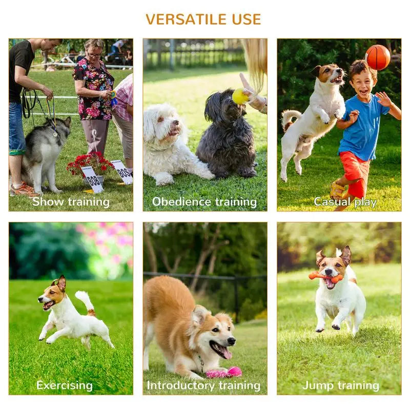 3PC Dog Agility Equipment Set, Obstacle Course for Dogs with Adjustable Hurdle, Hoop, Weave Poles & Carry Bag for Training and