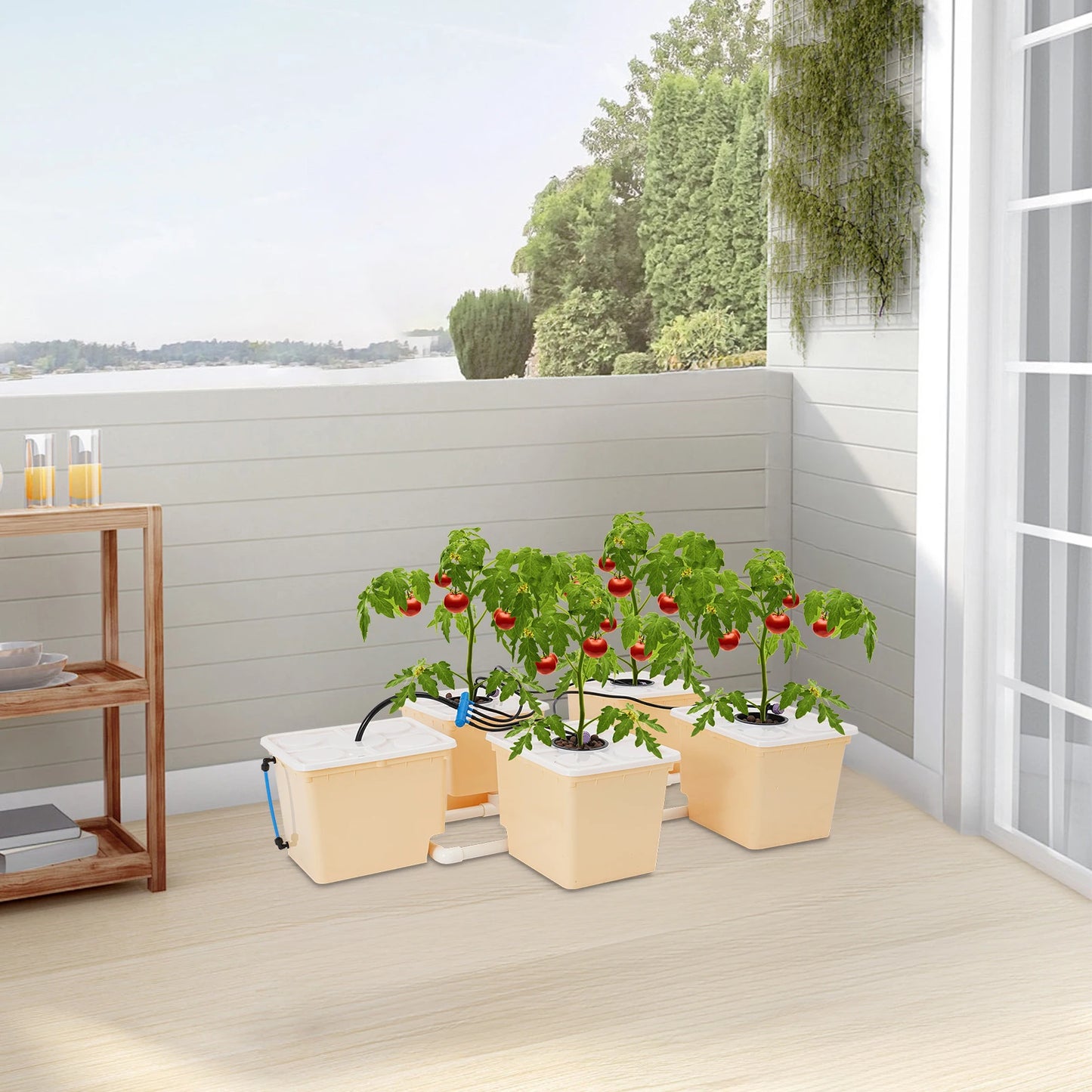 Hydroponics Deep Water Culture DWC Hydroponic System Buckets Drip Growing System