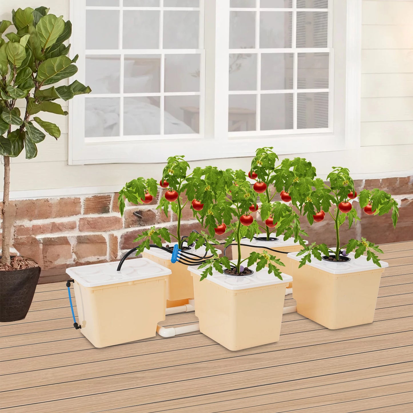 Hydroponics Deep Water Culture DWC Hydroponic System Buckets Drip Growing System