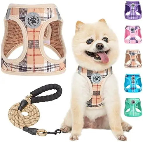 Safe Harness for Small Dogs & Cats – Reflective Plaid Set  
SEO Title: Small Dog Leash Harness Set – Safe & Reflective for Puppi