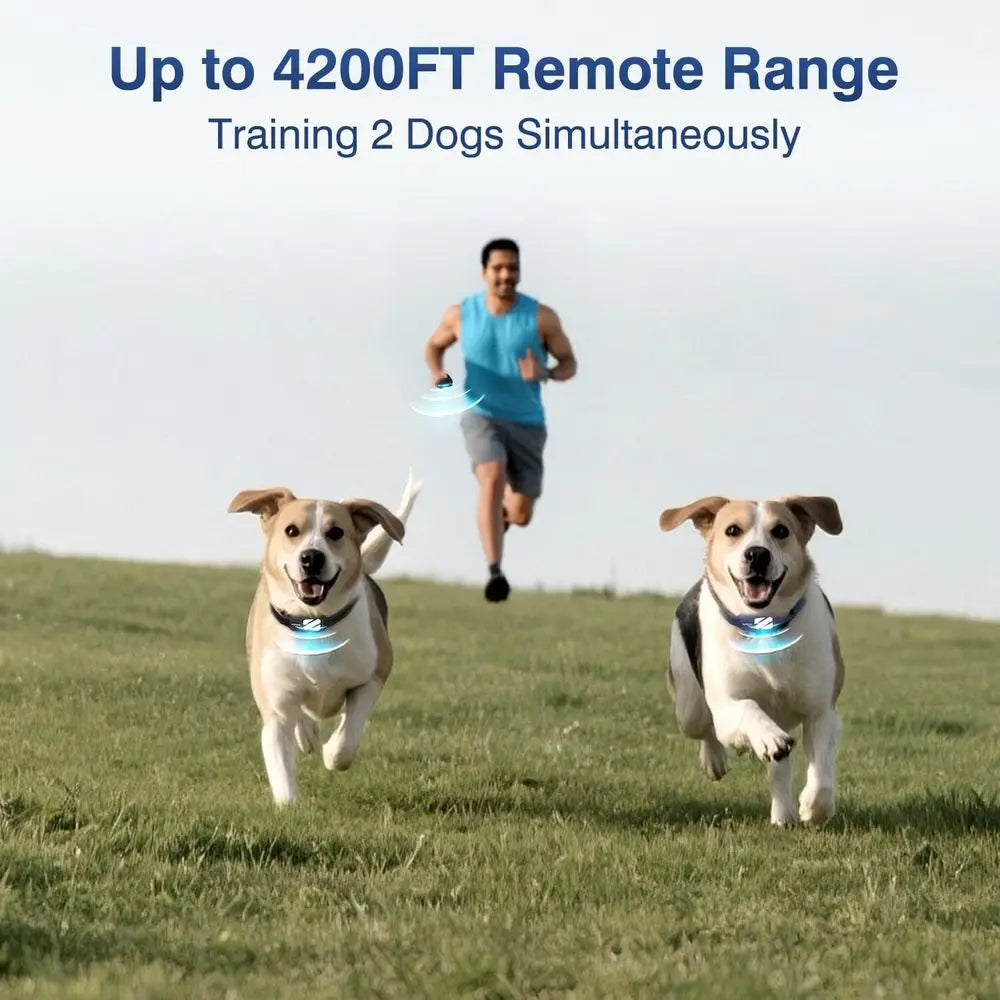 Dog Training Collars for 2 Dogs (20-140Lbs) - 4200T E Collar or Training with 119 Levels & 3 Night-Lights, IPX7 Waterproo Electr