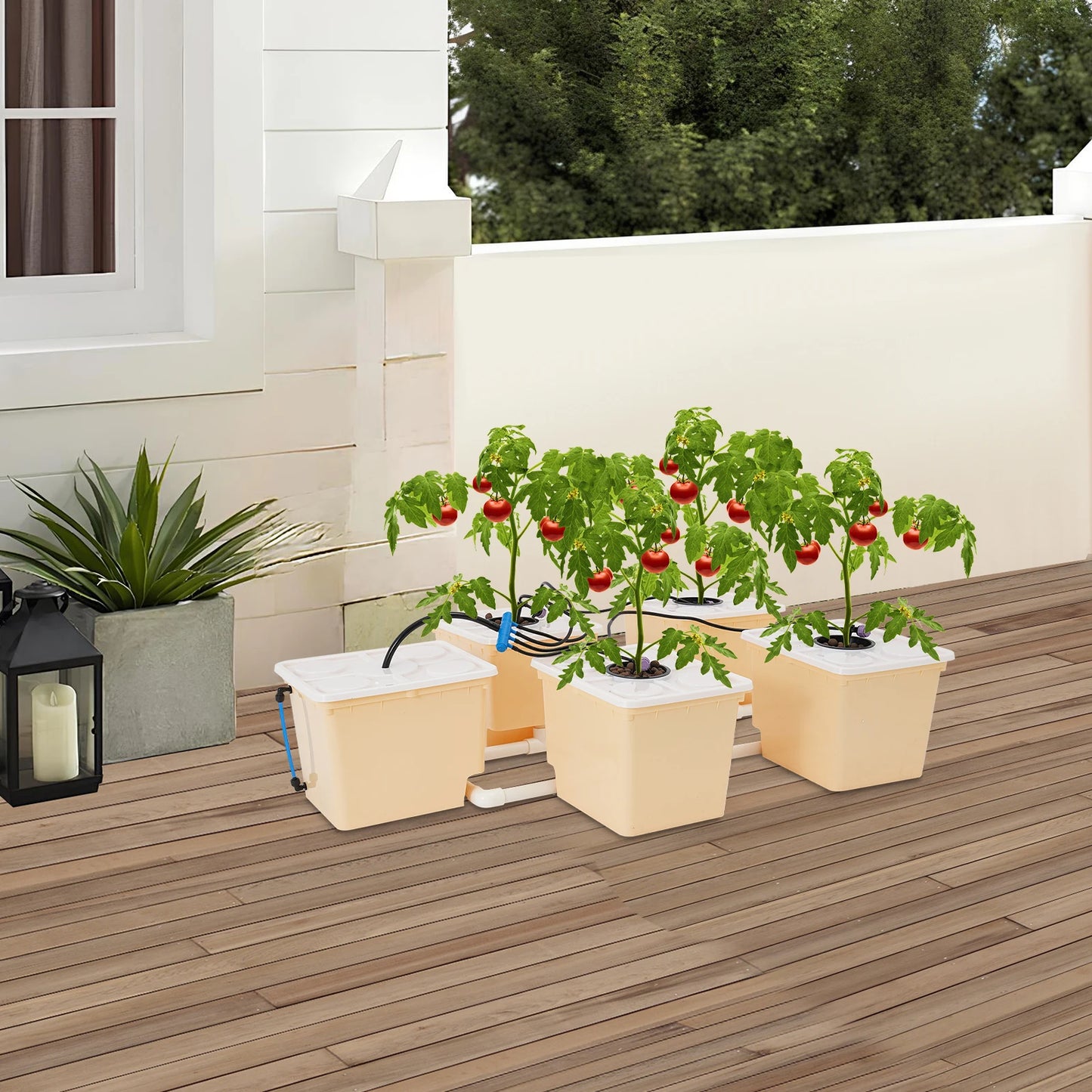 Hydroponics Deep Water Culture DWC Hydroponic System Buckets Drip Growing System