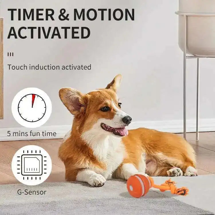 Smart Dog Toys Interactive Teasing Ball With Motion Activated Automatic Moving Squeaky Dog Toy Balls Puppy Chew Toys Knot Rope