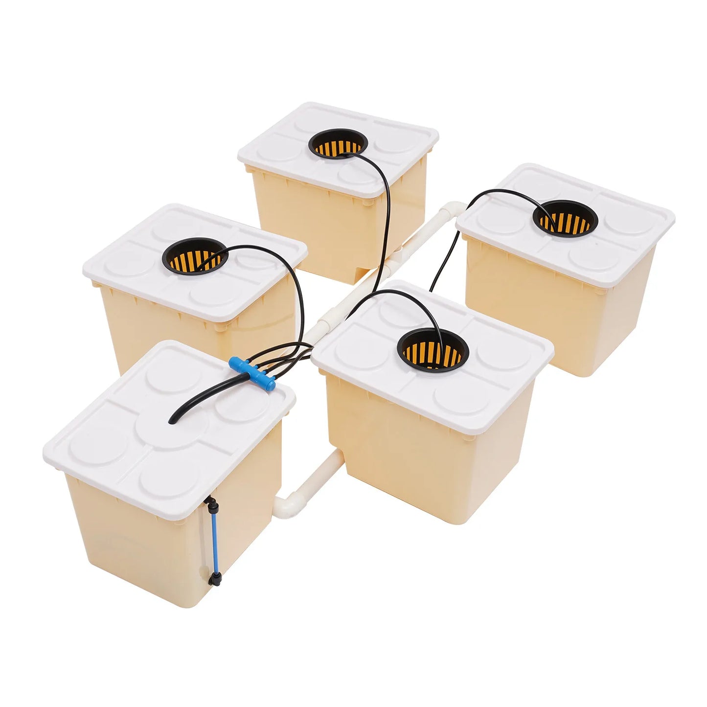 Hydroponics Deep Water Culture DWC Hydroponic System Buckets Drip Growing System