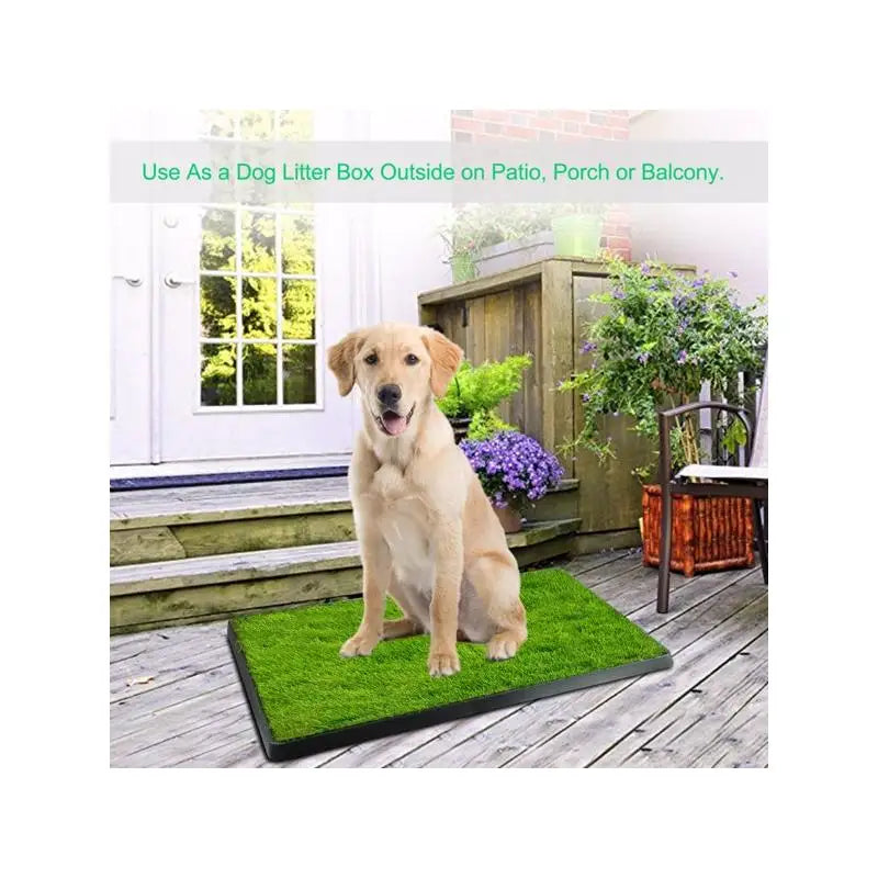 Indoor Puppy Training Pad & Potty Grass Mat with Removable Waste Tray, Easy Clean, Artificial Turf, 25"x20